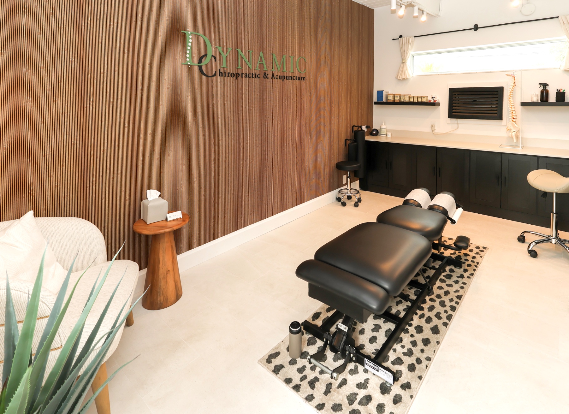 Dynamic Chiropractic & Acupuncture